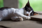 _MG_8357-2