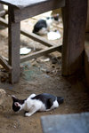 _MG_8371-2