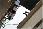 aIMG_1789