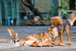 _MG_4541-2