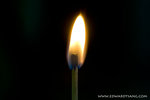 _MG_1486-2
