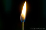 _MG_1487-2