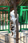 aIMG_5802