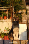 aIMG_5872