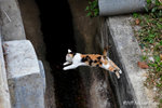 aIMG_7122