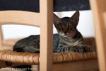 _MG_2672-2