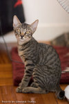 _MG_2676-2