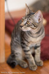 _MG_2679-2