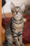 _MG_2681-2