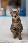 _MG_2689-2