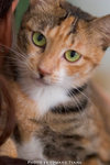 _MG_2695-2