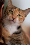 _MG_2697-2