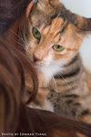 _MG_2700-2