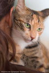 _MG_2701-2