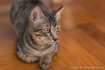 _MG_2741-2