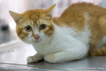 _MG_2526-2