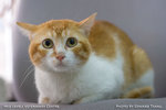 _MG_2528-2