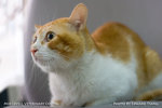 _MG_2530-2