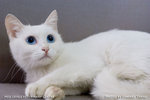 _MG_2539-2