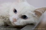 _MG_2552-2