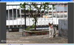 focus7