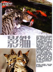 數碼廣場