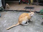 aIMG_0141