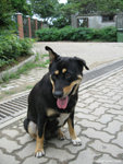 aIMG_0154