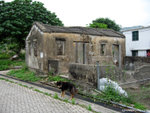 aIMG_0159