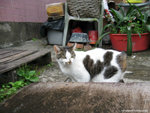 aIMG_0165