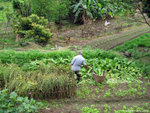 aIMG_0180