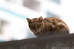 _MG_1873-2