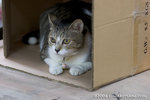 _MG_4647-2