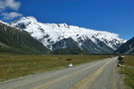 ADPP_0046