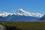 ADPP_0079