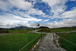 ADPP_0019