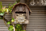 b_MG_5777
