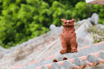 b_MG_5798