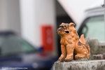 b_MG_5803