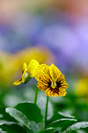 _MG_2417-2