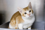 _MG_3189-2