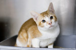 _MG_3190-2