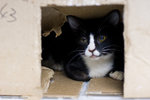 _MG_3195-2