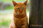 IMG_9838-2
