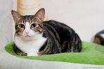 _MG_1161-2
