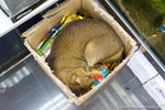 _MG_1166-2