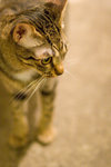 _MG_8134-2
