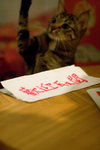 _MG_8136-2