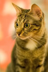 _MG_8157-2_filtered