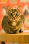 _MG_8175-2_filtered